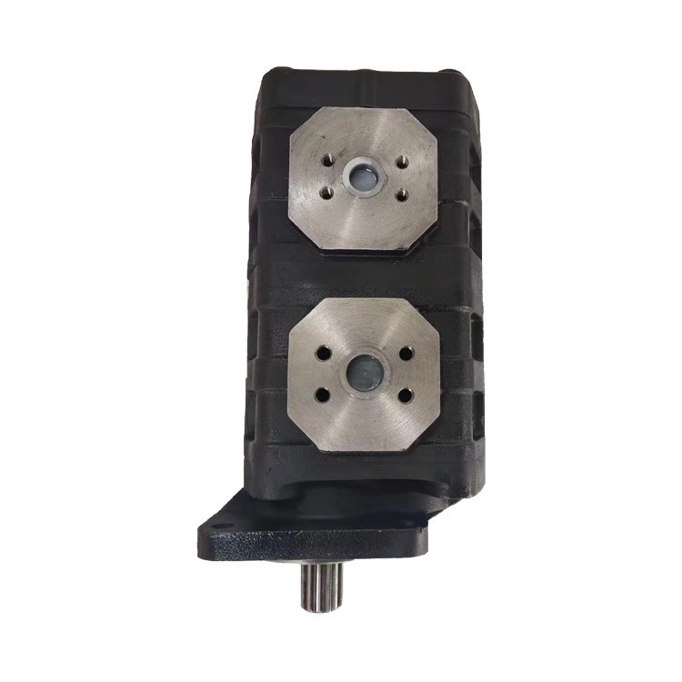CBGj2063/2050 65.2 Kw エグババータ用の標準液圧ギアオイルポンプ